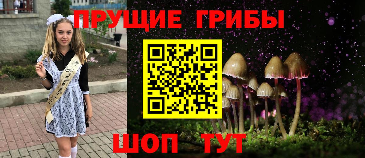 Псилоцибиновые грибы GOLDEN TEACHER  Галлюциногенные грибы Psilocybine cubensis  Надым  Вход с VPN 